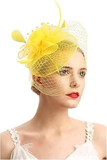Cizoe Women's Fascinator Fascinator