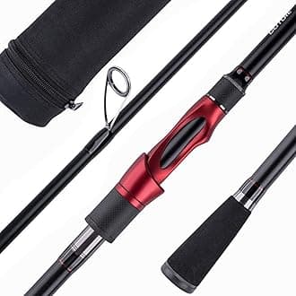 Goture Travel Fishing Rods,2 Piece/4 Piece Fishing Pole with Case/Bag,Surf Casting/Spinning Rod,Ultralight Fishing Baitcast Rod 6ft-12ft for Saltwater Trout, Bass, Walleye, Pike