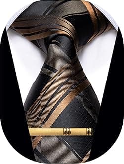 Men's Neckties Striped Tie and Plaid Neckties for Men Woven Silk Tie Gold Tie Clip Set