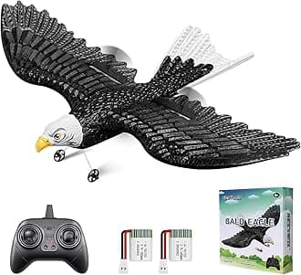 HAWK'S WORK Remote Control Eagles 2 Channel Remote Control Airplane Ready to Fly 2.4GHz RC Airplane Easy to Fly RC Glider for Kids and Beginners