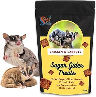 Sage Square Chicken & Carrot Sugar Glider Treat, Crunchy Protein Rich Snack (45g)