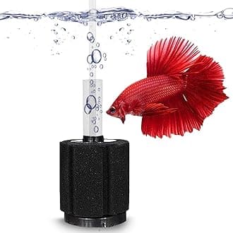 SunGrow 10-Gallon Betta Sponge Filter, Underwater Center Aquarium Filter, Attach it to Air Pump (Not Included) to Run, Works for Tropical Fish & Breeder Aquarium, Perfect for Fry & Small Fish, 2 Pcs