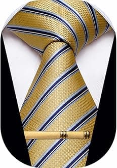 Men's Neckties Striped Tie and Plaid Neckties for Men Woven Silk Tie Gold Tie Clip Set