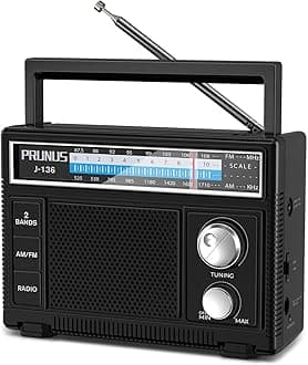 PRUNUS 136 Radio