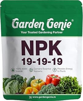 Npk 19 19 19 Plant Fertilizer I Complete Plant Food for Gardening, Growth Growth and Flowering 450 g, Powder