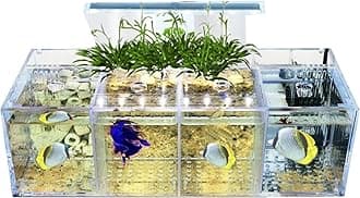 Acrylic Aquarium Transparent Fish Tank, Small Fish Tank with LED, Betta Fish Tank with 4 Grids, Dual Glass Desktop Mini DIY Aquarium, Multiple Betta Fish Tank for Table Furniture Decoration