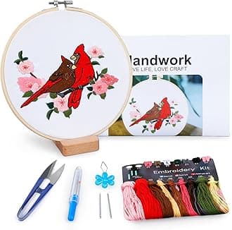 Hummingbird and Flower Embroidery Kit for Adults, DIY Embroidery Kits with Original Design Patterns, Learn to Embroider Kit Beginner with Needles and Thread, Clear Instructions and Video (BEB003)