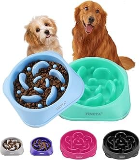 YINEYA Slow Feeder Dog Bowl Anti Gulping Healthy Eating Dog Slow Food Feeding Pet Bowl Slow Eating Healthy Design for Small Medium Size Dogs（Light Blue Green