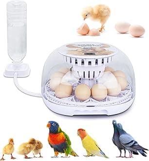 NORJIN Egg Incubator, 12 Eggs Incubator for Hatching Eggs, Digital Incubator Chicken Egg Incubator with Automatic Egg Turning and Water Adding for Hatching Chickens Birds Ducks