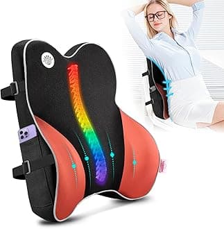 Lumbar Support Pillow for Office Chair,Memory Foam Back Support for Chair,Car Seat,Computer Chair,Recliner with Breathable Mesh Cover,Ergonomic Design for Back Pain Relief Improve Posture (Black)