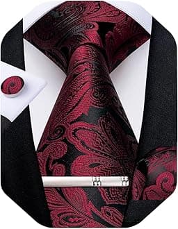 DiBanGu mens Tie Fashion