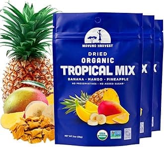 Tropical Mix Dried Fruit Snack | Unsweetened Organic Mixed Dried Fruit | Gluten Free Healthy Snacks for Kids and Adults | No Sugar Added, Vegan, Non GMO | 2 Ounce, Pack of 3