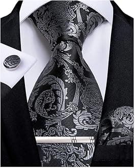 DiBanGu mens Tie Fashion