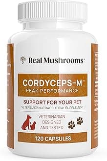 Real Mushrooms Cordyceps Pet Support Mushroom Supplement (120ct) Cat & Dog Vitamins and Supplements for Performance, Energy, & Vitality - Vet Approved Mushroom Powder Capsules Grain-Free, Non-GMO