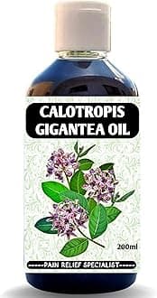Calotropis Gigantea oil/Safed Aak Plant Oil for Joint Pain Relief (Thailam) 250ml Results in 2 day