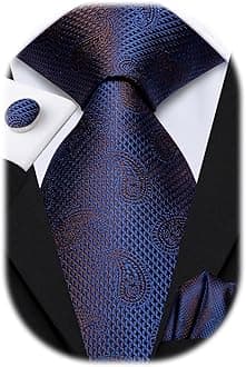Hi-Tie Paisley Floral Ties Set for Men Silk Mens Stripes Necktie Pocket Square Cufflinks Set Formal Business