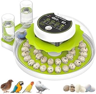 Quail Egg Incubator for Hatching Quail Eggs with Automatic Turner and Humidity Control, Quail Egg Hatching Incubator, Suitable for Chicken Duck and Other Poultry
