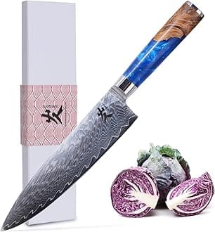 SAMCOOK Chef's Knife, 8 Inch Damascus Profession 67-Layer VG10 High Carbon Stainless Steel Kitchen Knife, with Ergonomic Non-slip Wood Grain Handle and Luxury Gift Box