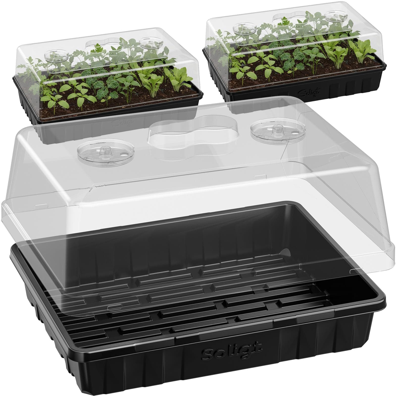 SOLIGT [Thick Plastic] 3-Set Strong Seed Starter Trays with 5" Humidity Domes for Seed Starting, Germination, Seedling Propagation & Plant Growing, Holds 144 Cells in Total