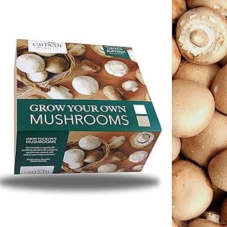 Carbeth Plants Mushroom Growing Kit - Grow Your Own Brown Button Suffolk Mushrooms - Perfect For Beginners - Educational Grow Our Kits With The Little Ones