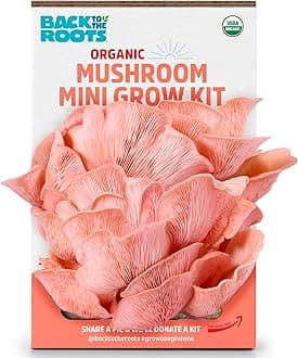 Back to The Roots Organic Pink Miniature Mushroom Grow Kit, Harvest Gourmet Mushrooms in 10 Days