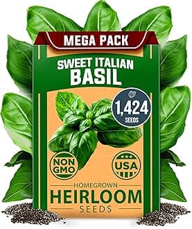 HOME GROWN Non GMO Italian Basil Seeds Bulk Pack 1,424 Sweet Large Leaf Basil Seeds for Planting and Heirloom Herb Seeds for Planting Indoors or Outdoors (Ocimum basilicum)