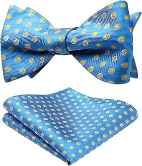 HISDERN mens Bow Ties for Men Modern