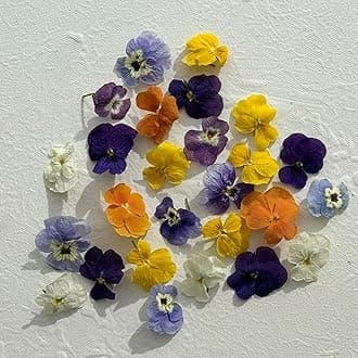 Edible Flowers - Freeze Dried Violas - Multicoloured - 80 Flower Heads - Certified Food Grade (389)