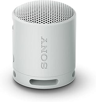 SRS-XB100 Wireless Bluetooth Portable Lightweight Super-Compact Travel Speaker, Extra-Durable IP67 Waterproof & Dustproof, 16 Hrs Batt, Versatile Strap, Extra Bass & Hands-Free Calling-Gray