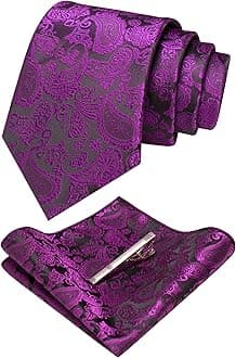 JEMYGINSMens Solid Color Paisley Necktie and Pocket Square with Tie Clip Sets