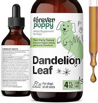 Dandelion Leaf Drops for Dogs - Liquid Kidney Health Supplement for Large, Medium & Small Dogs - Kidney Cleanse Detox Drops w/Dandelion Leaves Extract - 4 oz