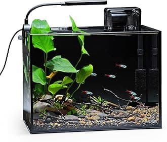 2.5 Gallon Nano Nature Aquarium Kit, Ultra-Clear Rimless Desktop Fish Tank with Light, Filter, Gravel and Rock, Perfect for Small Fish, Shrimp, or Betta, Complete Version, Black