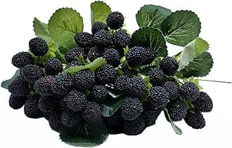 M2cbridge Artificial Raspberry Red Berry Strawberry Faux Fruit BlackBerry Props Table Decoration (Black,8PCS)