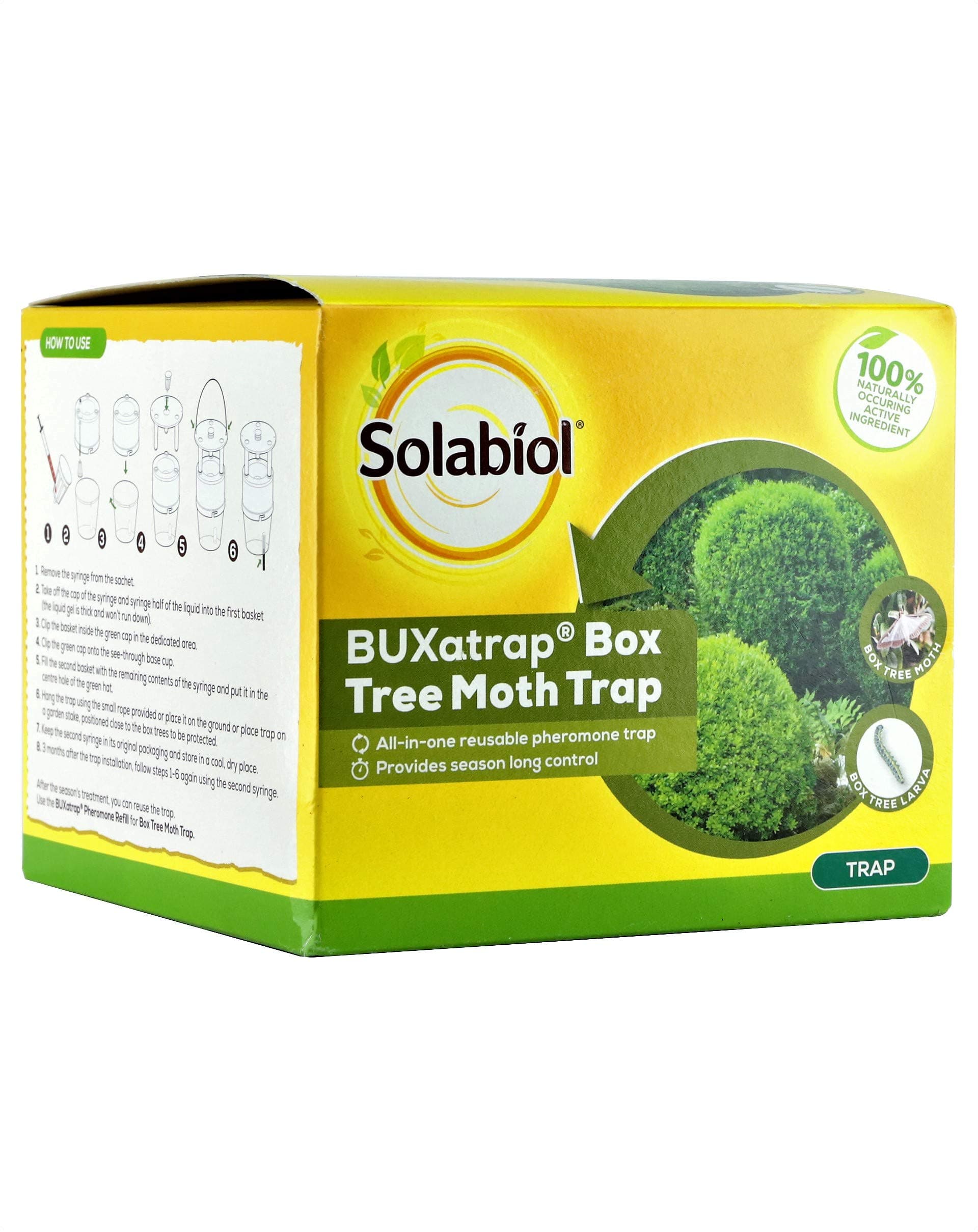 Box Tree Moth Trap