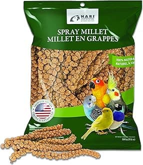 Millet Spray for Birds, 17.6 Oz – Premium Treat for Budgies, Canaries, Finches, Cockatiels and Other Pet Birds