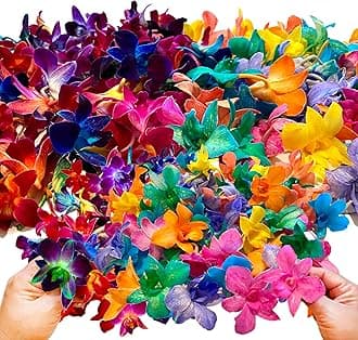 Miami Fresh Orchid Flower OrchidClub USA Sunne Tropical Loose Bloom Head DIY Lei food drink decoration (50 RAINBOW 50 CANDY)