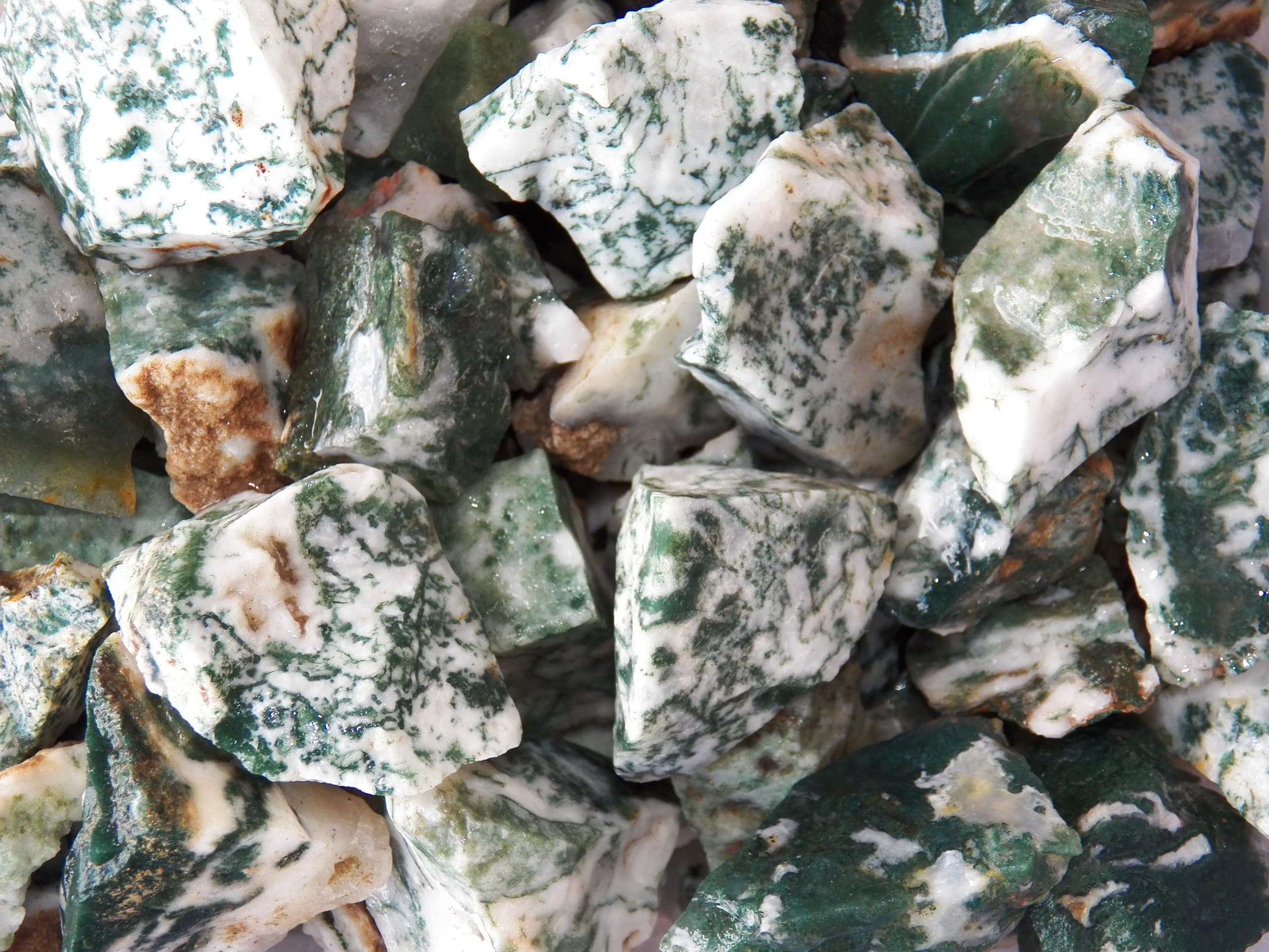 Fundamental Rockhound Products: 1/2 lb Rough Tree Agate Bulk Rock for Tumbling Metaphysical Gemstones Healing Crystals * Wholesale Lot * from India Stone of Plenitude