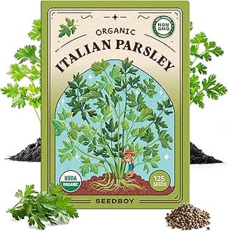 Organic Parsley Seeds for Planting Indoor and Outdoor, Non-GMO and USDA Certified Herb Seed Packet for Hydroponic Garden Indoor or Planting Outdoors (Italian Parsley)USDA Organic