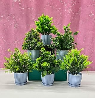 Dekorly Plastic 6 Packs Fake Plants Small,Mini Artificial Plants Indoor For Home Farmhouse Bathroom Shelf Décor(Height : 17Cm,Blue)