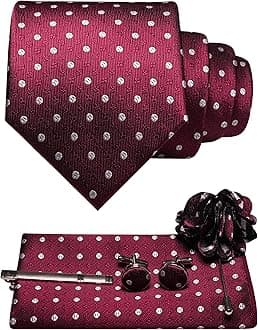Mens Tie and Pocket Square,Lapel Pin,Cufflinks,Tie Clip Sets with Gift Box 5PCS