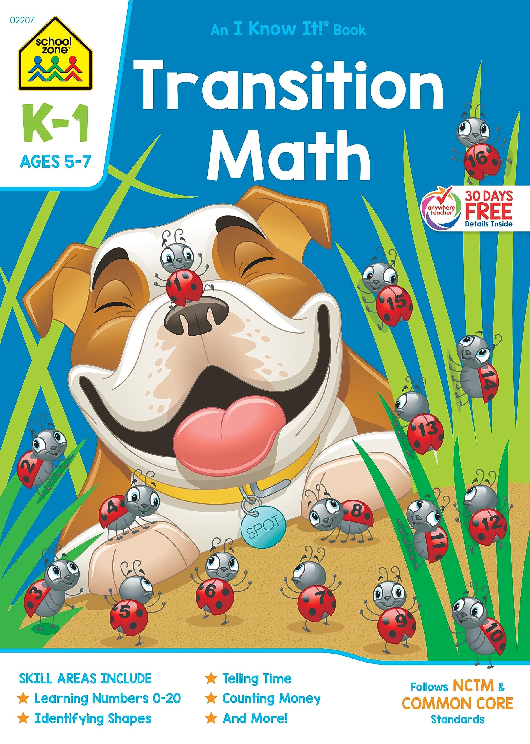 School Zone - Transition Math K-1 Workbook - 64 Pages, Ages 5 to 7, Kindergarten to 1st Grade, Comparing Numbers, Numbers 0-20, Patterns, and More ... Workbook Series) (Deluxe Edition 64-Page)