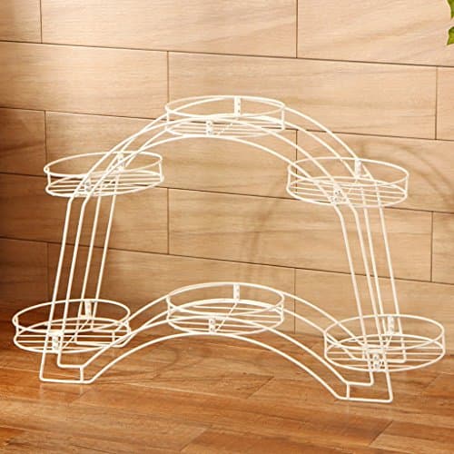 Disk shelf balcony flowerpot rack double arched room floor type flowerpot rack Scindapsus Chlorophytum disk shelf