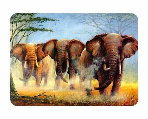 Medium Premium Glass Chopping Board - Elephants Kitchen Worktop Saver Protector