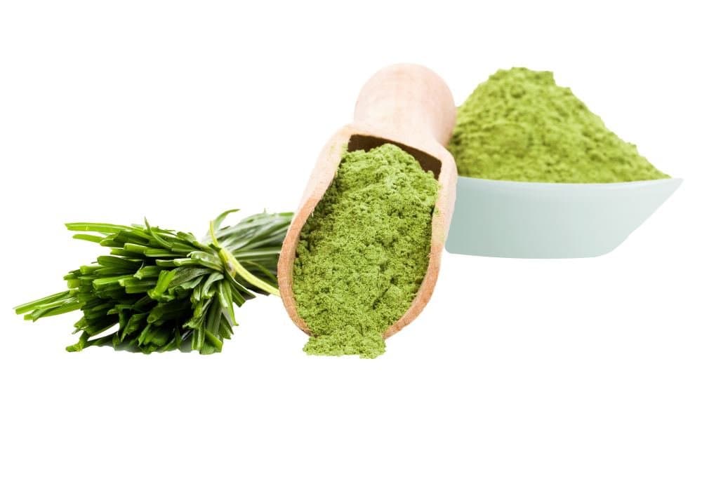 Super Green Food Powder