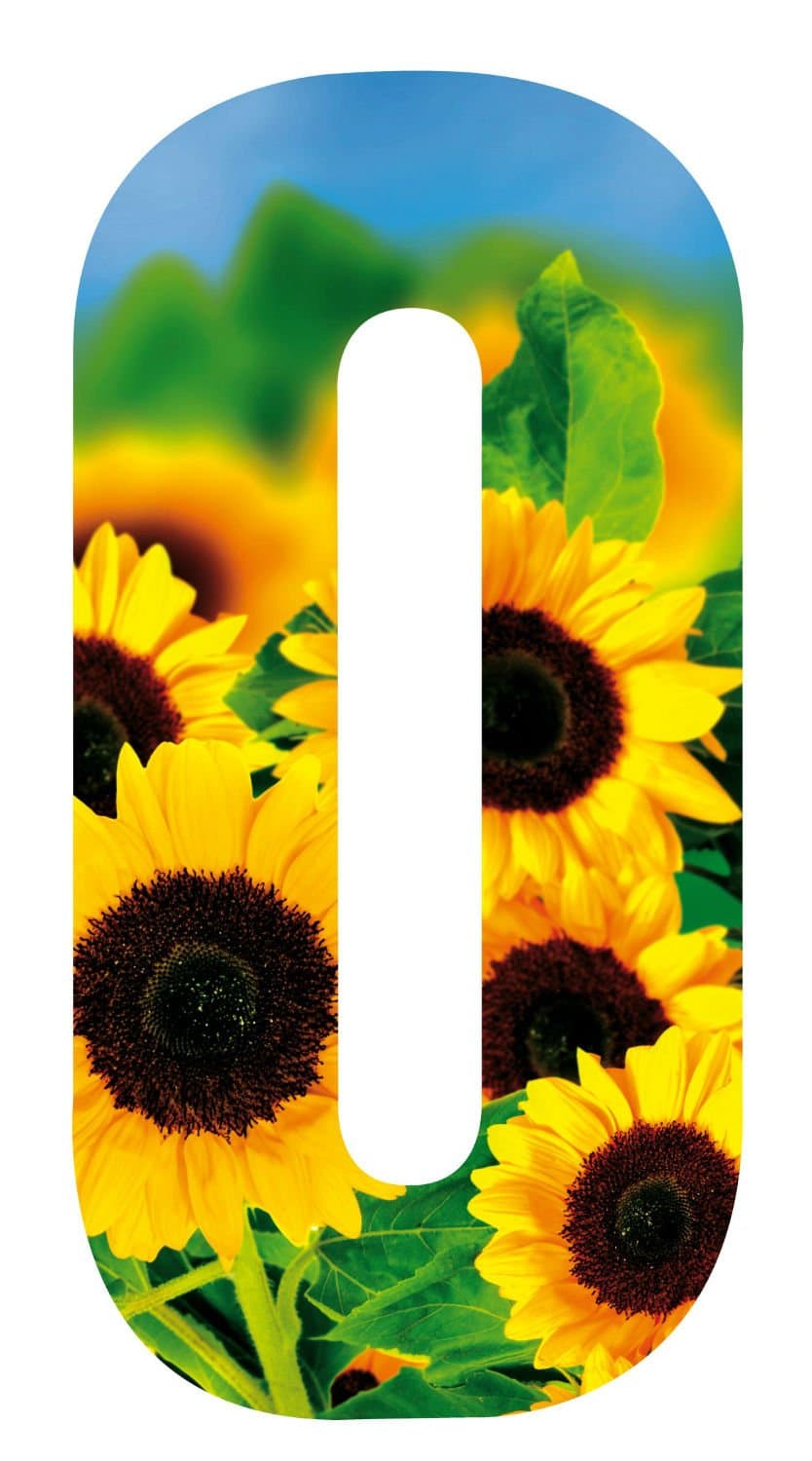 Wheelie Bin Number Sunflower 0