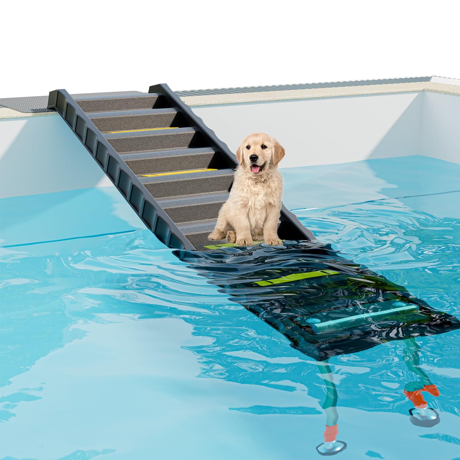 Dog Ramp for Pools