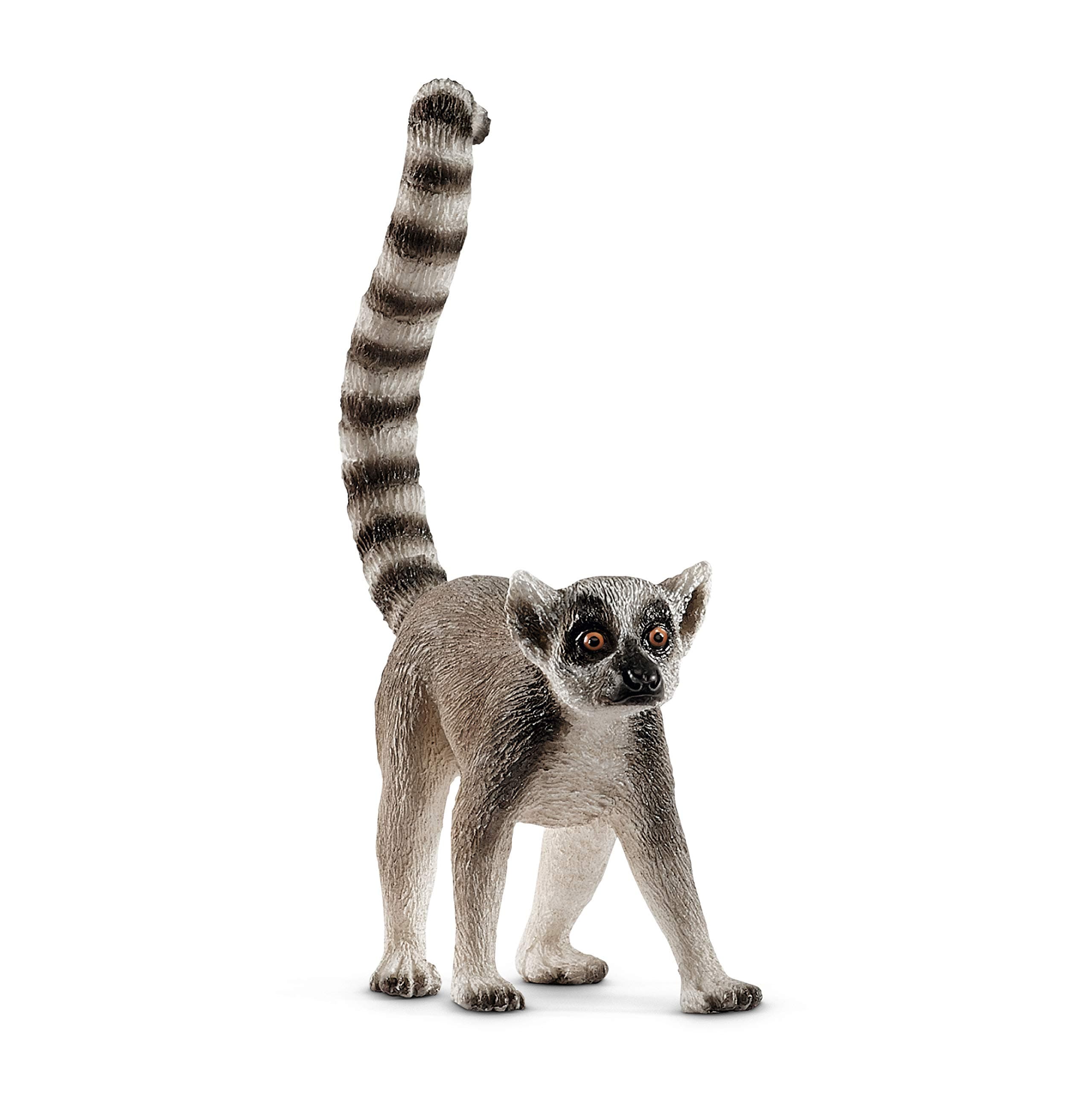 Wild Life Ring-Tailed Lemur