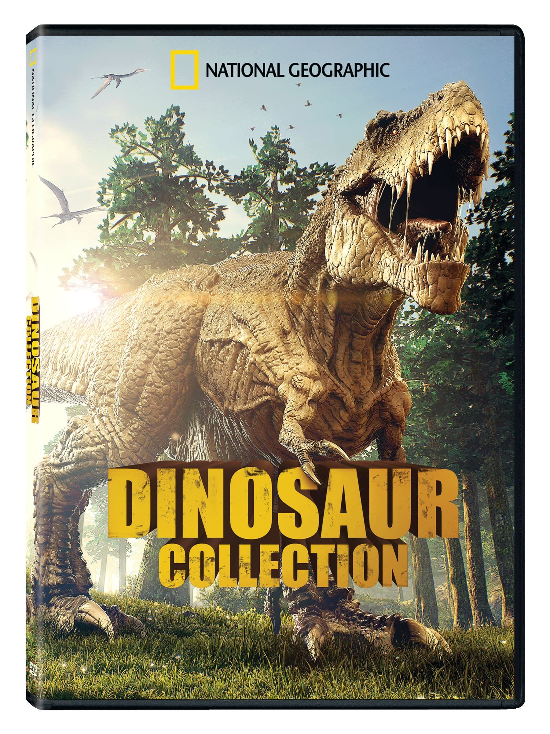 Dinosaur Collection